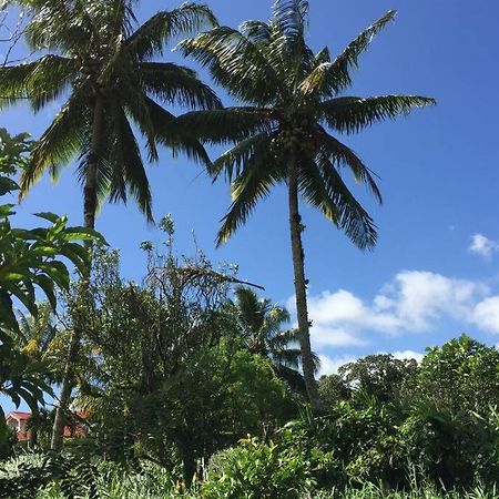 Logement En Pleine Verdure Tropicale -10 Min Plage Le Morne-Rouge Eksteriør bilde