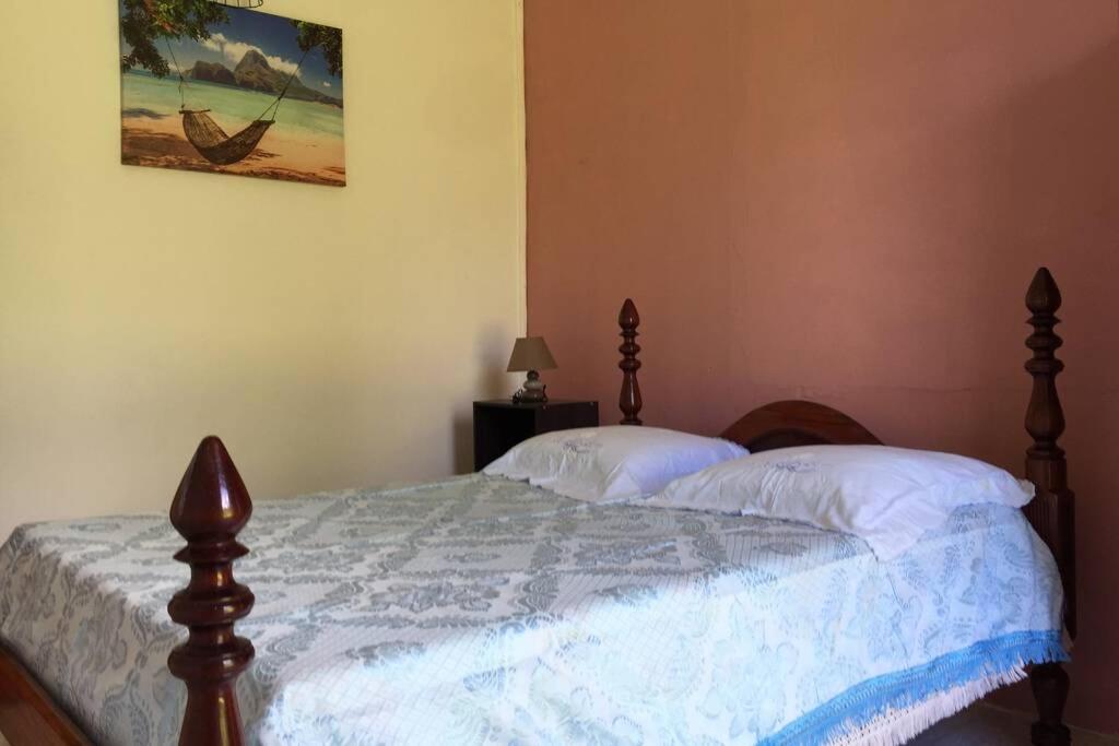 Logement En Pleine Verdure Tropicale -10 Min Plage Le Morne-Rouge Eksteriør bilde