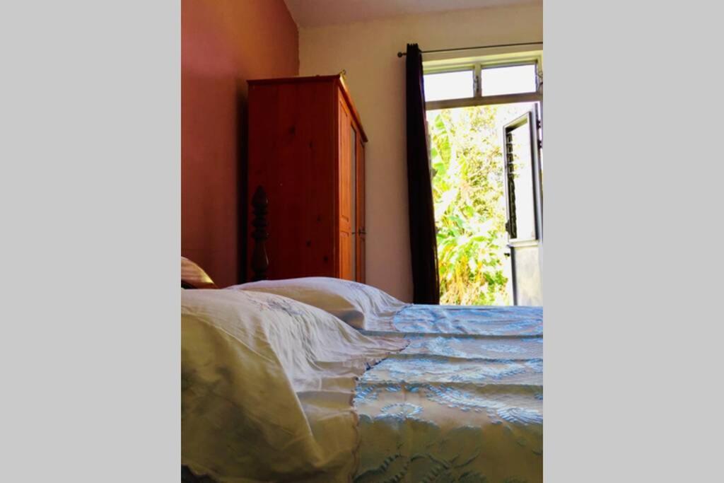 Logement En Pleine Verdure Tropicale -10 Min Plage Le Morne-Rouge Eksteriør bilde